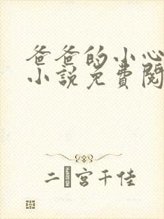 爸爸的小心肝儿小说免费阅读