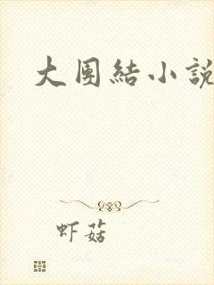 大团结小说下载