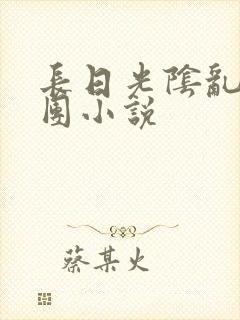 长日光阴乱作一团小说