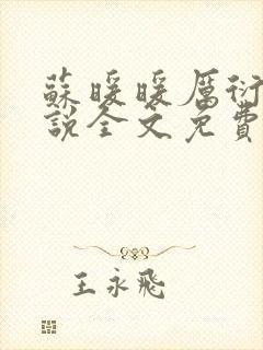 苏暖暖厉衍琛小说全文免费阅读