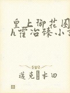 皇上御花园hlh霍冶臻小说