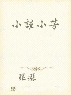 小说小芳
