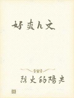 好爽h文
