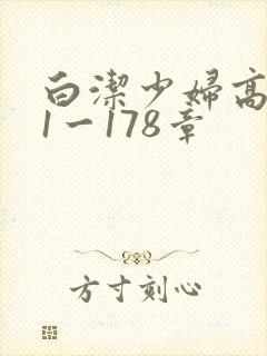 白洁少妇高义第1一178章