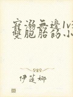 宠溺无边1v3双胞胎的小说