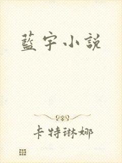 蓝宇小说