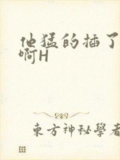 他猛的插了进去啊H