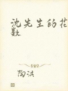 沈先生的花式调数