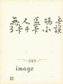 无人区码卡二卡3卡4卡小说封面