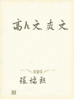 高h文爽文封面