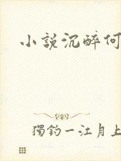 小说沉醉何欢凉