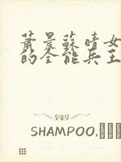 萧晨苏晴女总裁的全能兵王