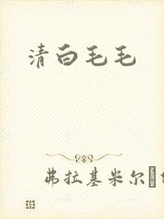 清白毛毛封面
