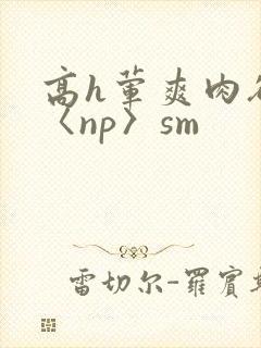 高h荤爽肉欲文〈np〉sm