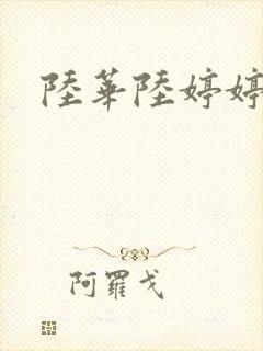 陆华陆婷婷封面