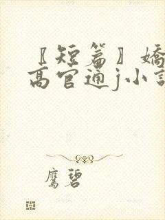 〖短篇〗娇妻与高官通j小说封面