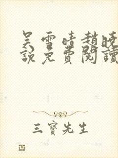 吴雪晴赵晓东小说免费阅读