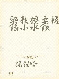 梁教授要稳住肉馅小水饺封面