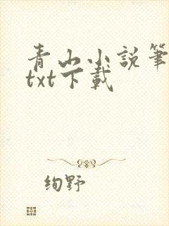 青山小说笔趣阁txt下载