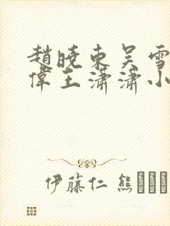 赵晓东吴雪晴郑伟王潇潇小说名字