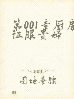 第001章厨房征服贵妇封面