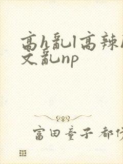 高h乱l高辣h文乱np