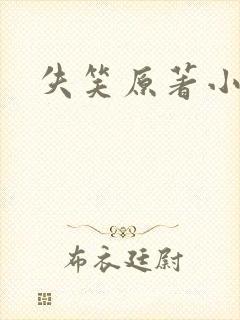 失笑原著小说封面