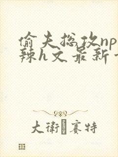 偷夫总攻np高辣h文最新章节内容封面