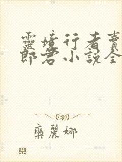 灵境行者卖报小郎君小说全篇封面