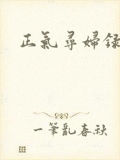 正气寻妇录