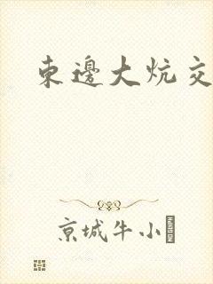 东边大炕交换封面