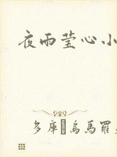 夜雨莹心小说