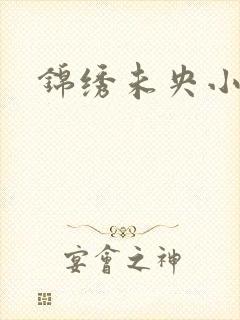 锦绣未央小说封面