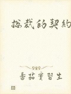 总裁的契约情人