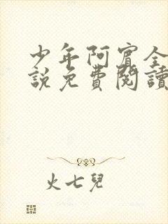 少年阿宾全文小说免费阅读笔趣阁