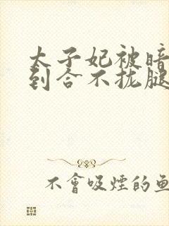 太子妃被暗卫C到合不拢腿封面