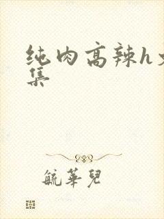 纯肉高辣h文合集