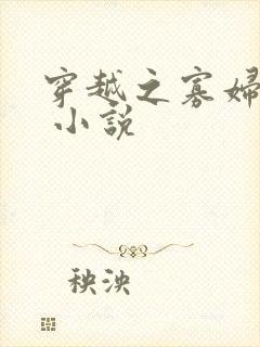 穿越之寡妇丫鬟 小说