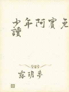 少年阿宾免费阅读