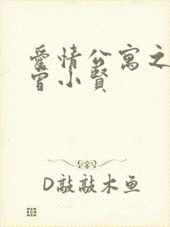 爱情公寓之极品曾小贤封面