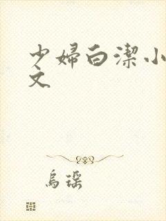 少妇白洁小说全文