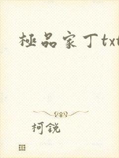 极品家丁txt