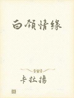 白领情缘