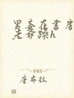 男妾在书房边被老爷躁h