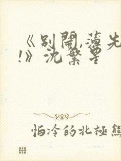 《别闹,薄先生!》沈繁星