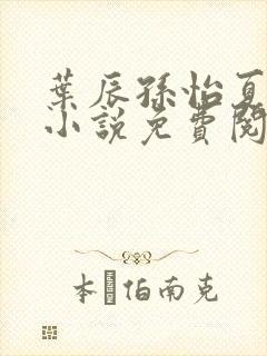 叶辰孙怡夏若雪小说免费阅读全文