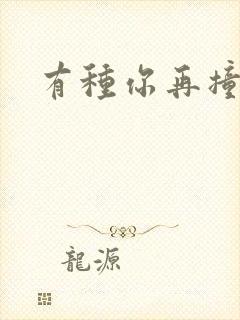 有种你再撞一下