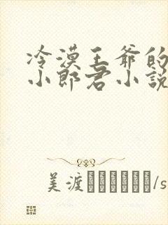 冷漠王爷的替嫁小郎君小说免费阅读封面