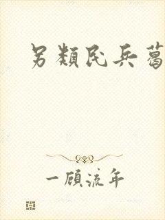 另类民兵葛二蛋封面