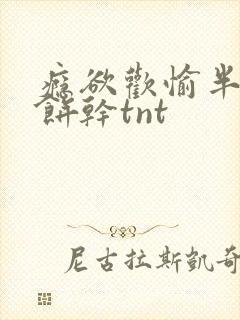 瘾欲欢愉半块小饼干tnt